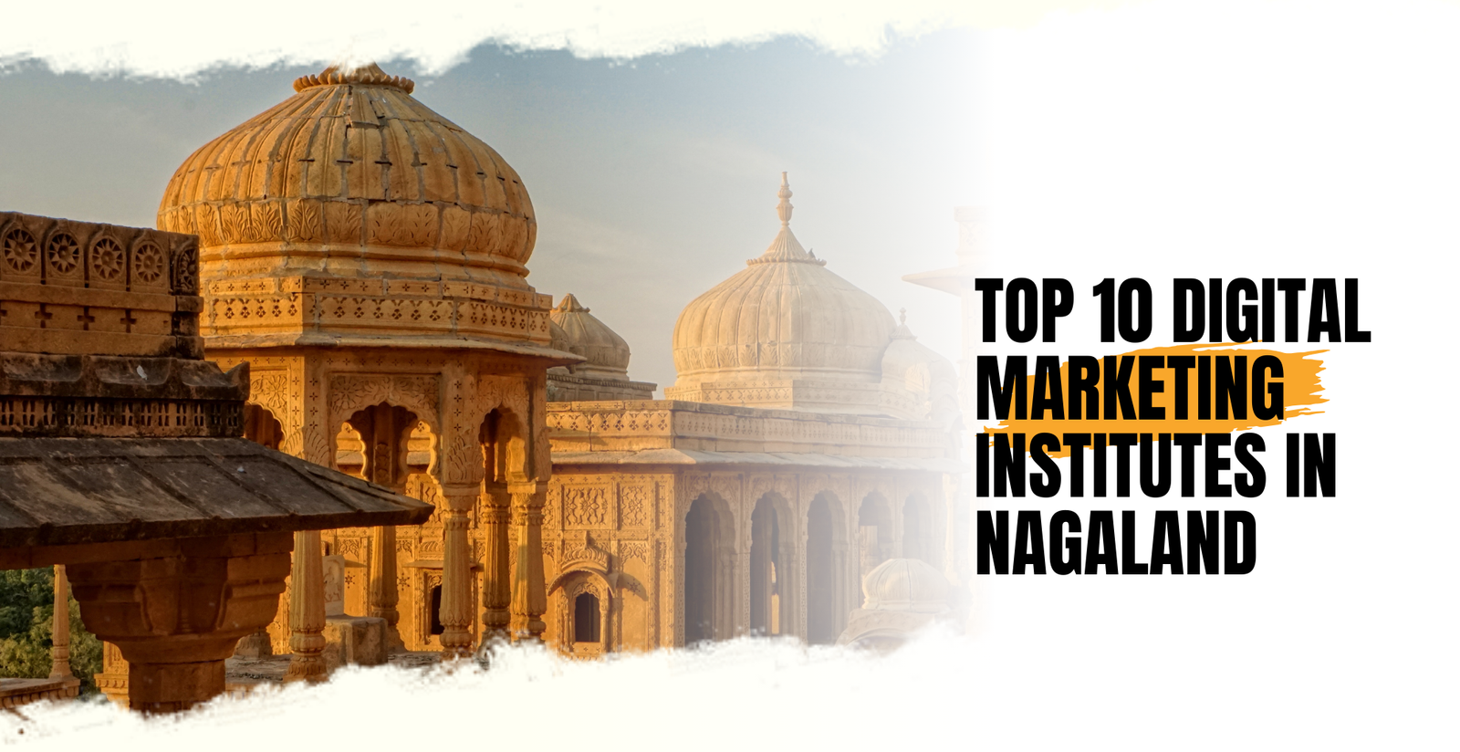 Top 10 Digital Marketing Institutes in Nagaland